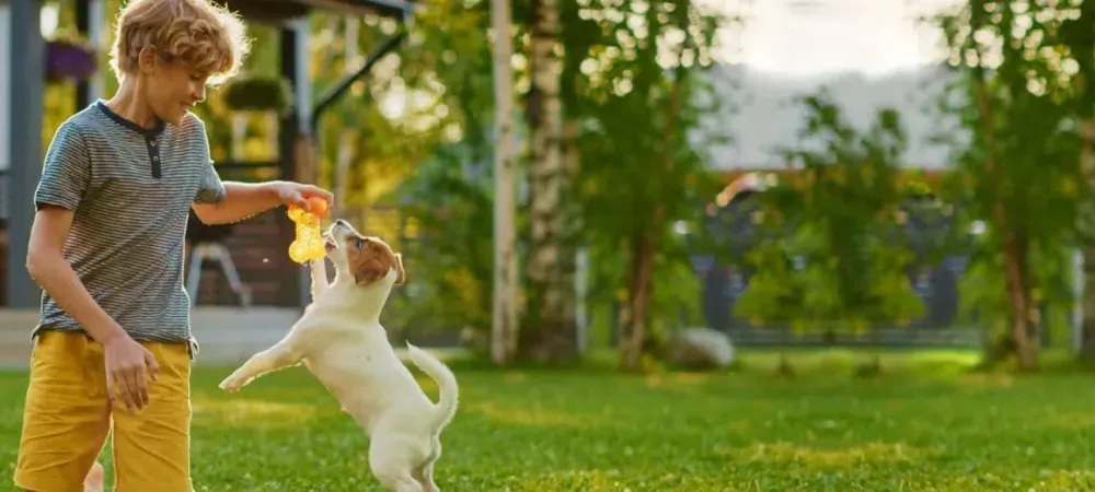 Kid playing with dog